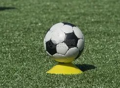 外媒曝,本菲卡索要,万欧转会费,万博manbetx体育平台,万博体育官网,万博体育app下载,ManBetX,SPORTS